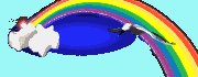 bird1.gif (4958 octets)