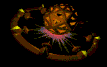 orbit.gif (6832 octets)